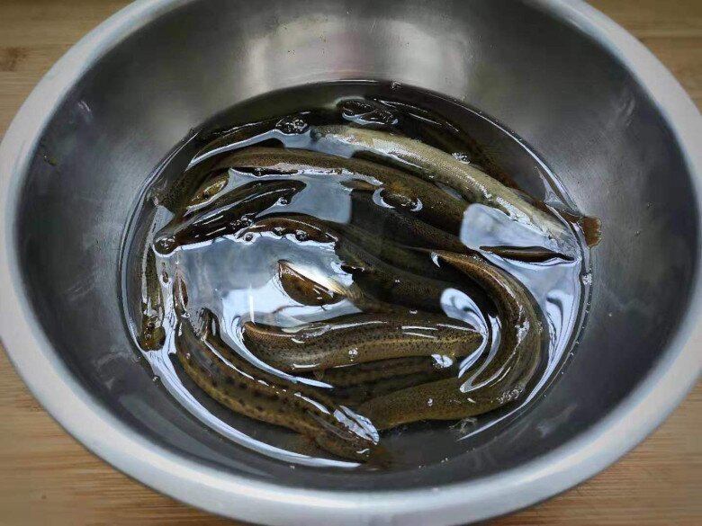 Loại cá dân dã được coi là amp;#34;nhân sâm dưới nướcamp;#34; vừa giàu đạm lại nhiều canxi, nấu được đủ món ngon - 1