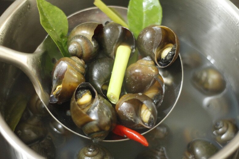 Luộc ốc, người cho nước người lại cho thêm thứ chua loét này, đầu bếp mách mẹo cực hay ốc cực giòn ngon, không tanh - 2