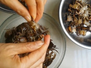 Bếp Eva - Mua cua đồng về chớ dại nấu luôn, ngâm ngay vào thứ nước này, giun sán trong cua bò ra hết tha hồ yên tâm nấu ăn