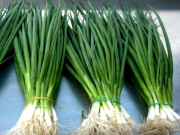 Bếp Eva - Hành lá mua về nhanh hỏng, ngâm trong nước này để vài tháng vẫn xanh tươi, vị ngon như mới hái