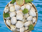 Bếp Eva - Ngao mua về không kịp ăn hết, nhớ làm điều này ngao sẽ tươi lâu, không teo quắt mà vẫn mọng ngọt như mới mua về