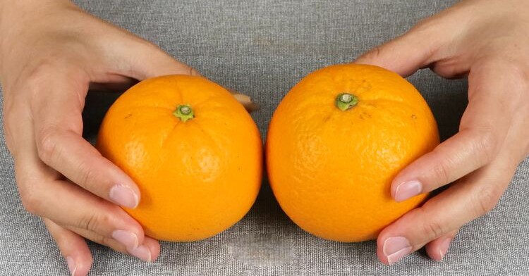 Mua cam nhìn vào chỗ này, thấy càng to chứng tỏ càng ngọt, chọn ngay kẻo hết - 5