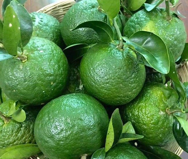 Mua cam nhìn vào chỗ này, thấy càng to chứng tỏ càng ngọt, chọn ngay kẻo hết - 1