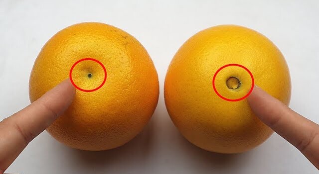 Mua cam nhìn vào chỗ này, thấy càng to chứng tỏ càng ngọt, chọn ngay kẻo hết - 2