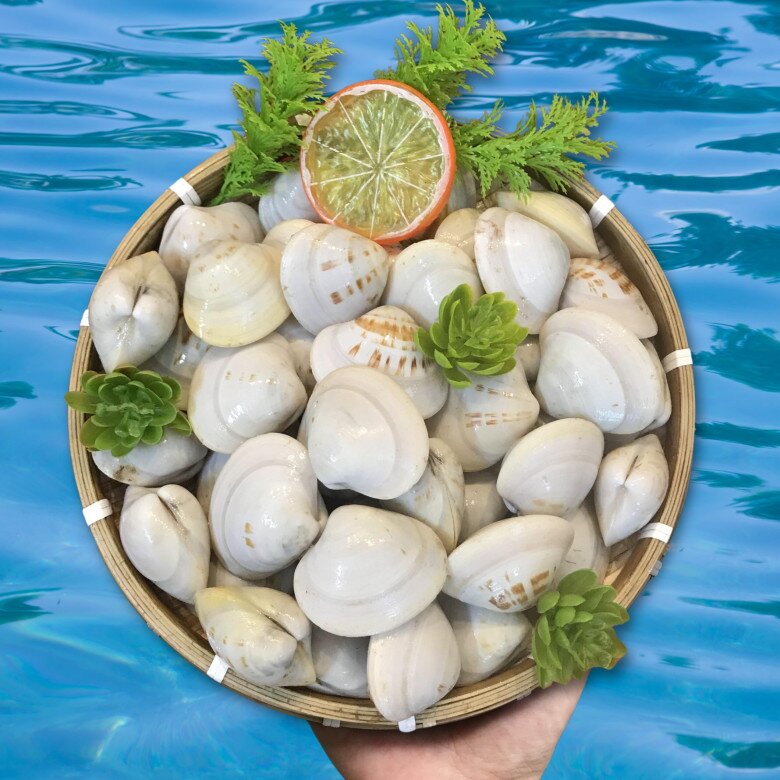 Ngao mua về kh&ocirc;ng kịp ăn hết, nhớ l&agrave;m điều n&agrave;y ngao sẽ tươi l&acirc;u, kh&ocirc;ng teo quắt m&agrave; vẫn mọng ngọt như mới mua về - 3