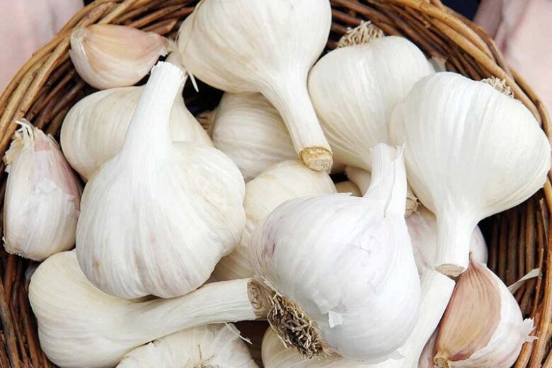 Tỏi bán đầy chợ nhưng có 4 củ này đừng mua, đầu bếp nhắc amp;#34;trời nồm ẩmamp;#34; này nhớ làm ngay nhé! - 2