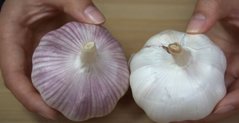 Tỏi bán đầy chợ nhưng có 4 củ này đừng mua, đầu bếp nhắc amp;#34;trời nồm ẩmamp;#34; này nhớ làm ngay nhé! - 3