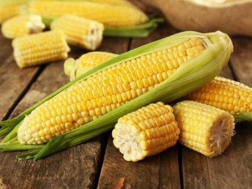 Bảo quản ngô, luộc xong mới trữ đông hay cho luôn vào ngăn đá, nhiều người chưa biết thì học ngay cách của đầu bếp