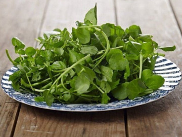 Loại rau "tốt nhất thế giới" được chấm 10 điểm, ở Việt Nam không chăm cũng lớn, nấu được đủ món ngon