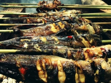 Loại cá bị chê bẩn nhưng bổ ngang vi cá mập, chợ Việt bán đầy mà ít người biết mua ăn