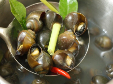 Bếp Eva - Luộc ốc, người cho nước người lại cho thêm thứ chua loét này, đầu bếp mách mẹo cực hay ốc cực giòn ngon, không tanh