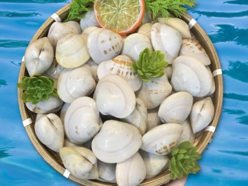 Bếp Eva - Ngao mua về không kịp ăn hết, nhớ làm điều này ngao sẽ tươi lâu, không teo quắt mà vẫn mọng ngọt như mới mua về