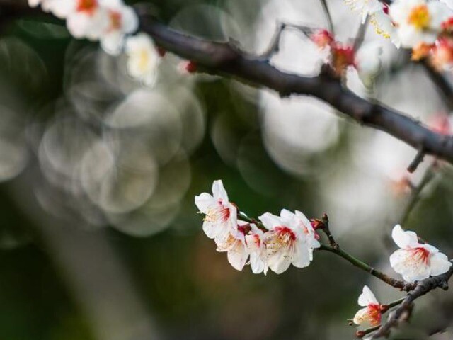 Tuổi già sướng khổ ra sao, nhìn 3 thứ này ở tuổi 55 sẽ rõ mồn một