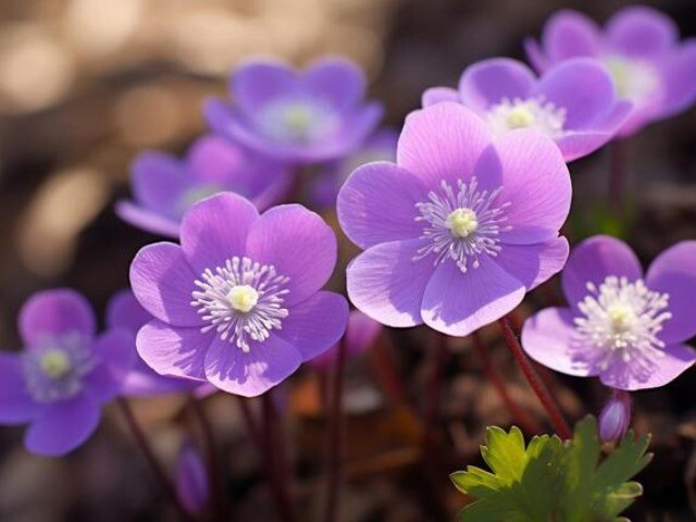 3 thói quen những người may mắn, hạnh phúc quyết nói không, nhiều người vẫn nói có