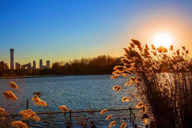 Khai vận đầu xuân: 20 thói quen nhỏ giúp bạn mở ra một năm 2026 rực rỡ và thịnh vượng - 2