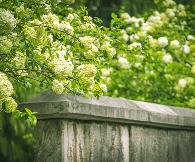 3 dấu hiệu là điềm báo bạn đang ngày càng tốt hơn, cuộc sống thuận lợi, suôn sẻ - 1