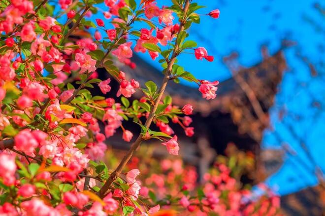 3 dấu hiệu là điềm báo bạn đang ngày càng tốt hơn, cuộc sống thuận lợi, suôn sẻ - 2