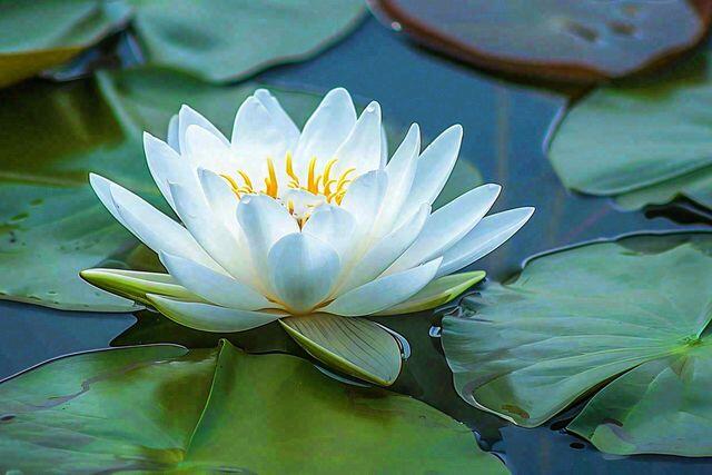 3 điều này mới là trụ cột vững chắc của một gia đình giàu có thực sự - 2