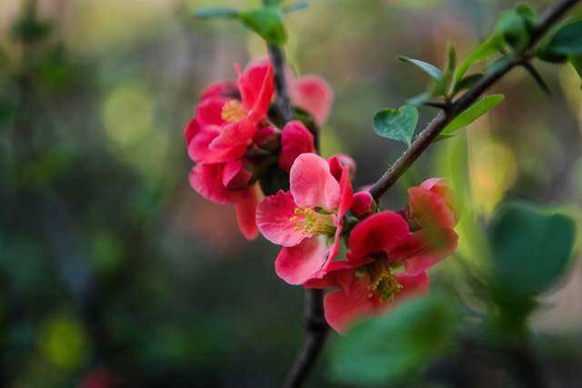 3 thói quen người khôn ngoan thường che giấu, kẻ dại lại rất thích khoe - 2