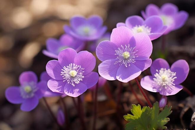 3 thói quen những người may mắn, hạnh phúc quyết nói không, nhiều người vẫn nói có - 2