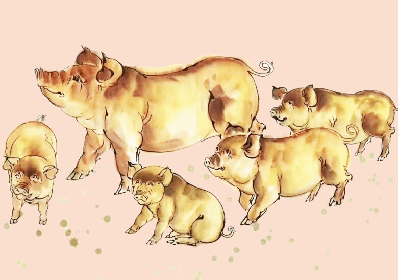 4 con giáp đích thị đại gia nhưng rất giỏi than nghèo kể khổ - 4