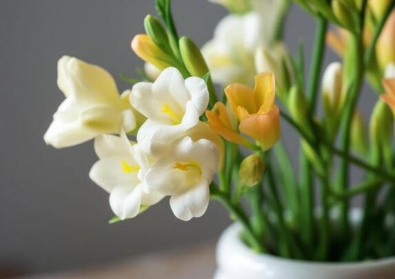 “4 không làm” người thực sự khôn ngoan luôn nhớ: Càng không làm, phúc khí càng sâu dày - 3