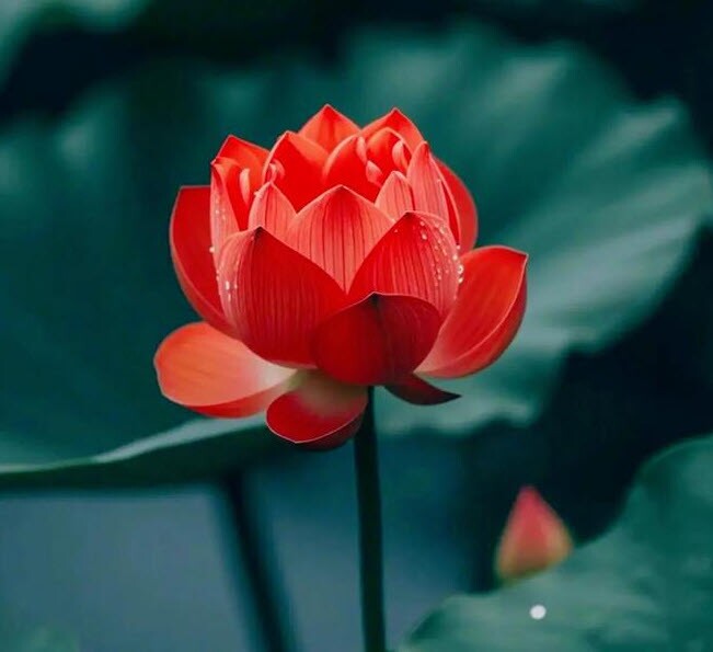 Bạn có tiền hay không, nhìn là biết: Người càng giàu có, càng thích làm 3 điều này - 2