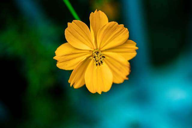 Bản lĩnh của người phụ nữ thông minh: Gói gọn trong 6 chữ khi đối đãi với đàn ông - 2