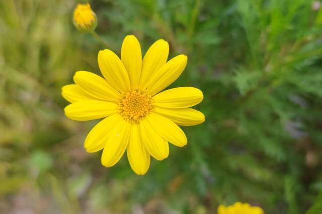 Cuộc đời này, người thân thiết nhất với ta chỉ có một - 3