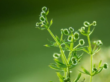 Người nói “không” với 3 thói quen này cả đời không lo thiếu tiền, sẽ giàu sang phú quý