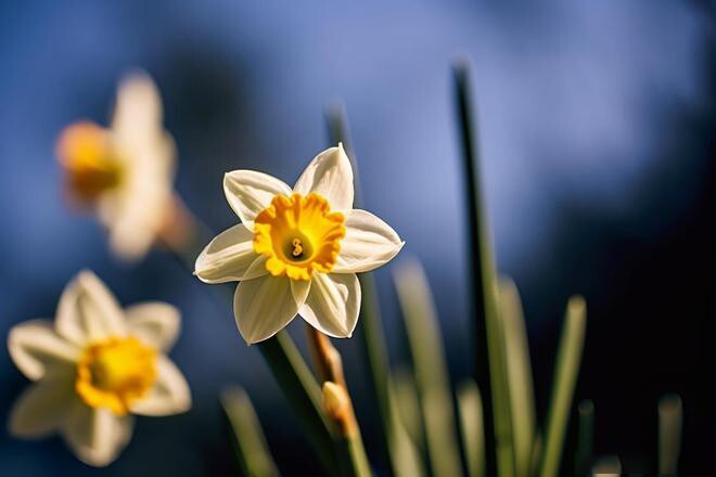 Người ít khi nói trong các nhóm chat nhưng cũng không rời nhóm thuộc 3 kiểu này - 2