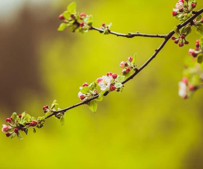 4 chữ trông đơn giản nhưng là khả năng phi thường nhất ở một người - 2