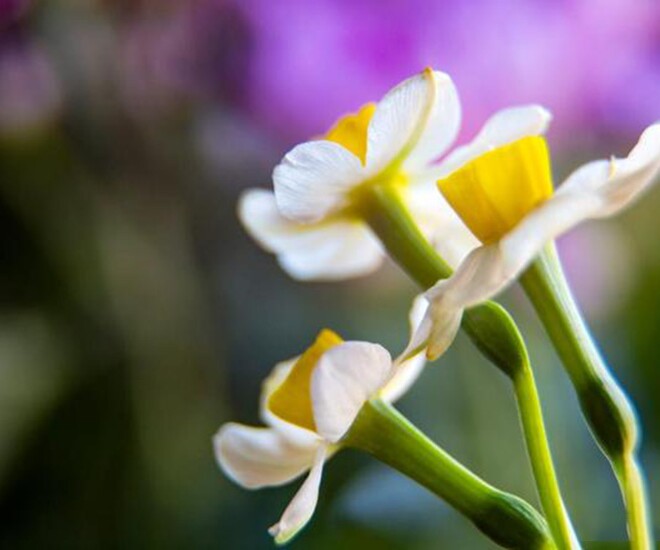 4 chữ trông đơn giản nhưng là khả năng phi thường nhất ở một người - 3