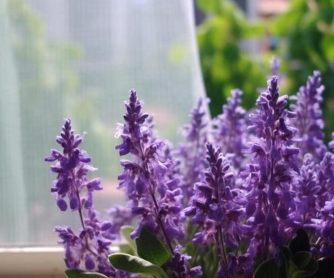 Khi bạn ghét ai đó, đây mới là cách đối xử tinh tế và khôn ngoan nhất - 3