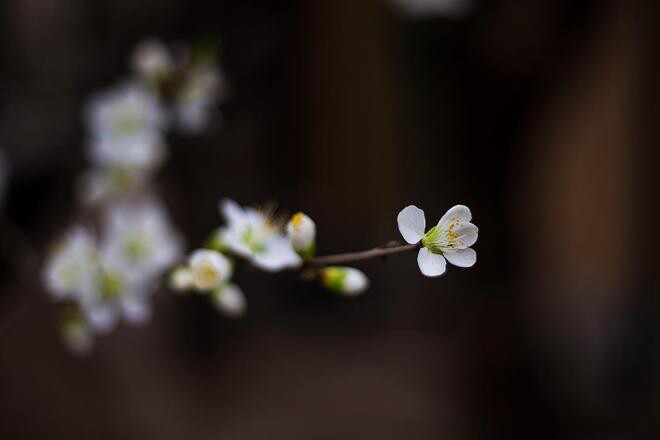 Thấy 3 dấu hiệu này chứng tỏ trời đang muốn giúp bạn - 2