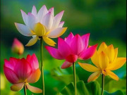 Sự tự chủ lớn nhất của một người gói gọn trong 3 câu