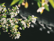 Eva tám - Phúc tướng tuyệt vời nhất của một người phụ nữ gói gọn trong 3 điều