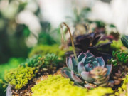 Eva tám - Nhớ 4 câu này và bạn sẽ hạnh phúc!