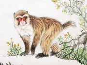 Eva tám - 4 con giáp đầu óc linh hoạt tuyệt vời, cuộc đời không thiếu quý nhân