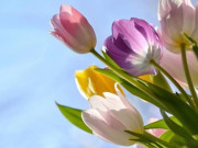 4 chữ trông đơn giản nhưng là khả năng phi thường nhất ở một người