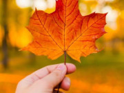 Nắm được 3 kiểu tư duy này, bạn sẽ là người chiến thắng