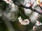 Tuổi già sướng khổ ra sao, nhìn 3 thứ này ở tuổi 55 sẽ rõ mồn một