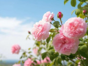 Phụ nữ có 3 đặc điểm này, 9 phần 10 là người giàu phúc khí, ắt được trời giúp