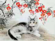 Eva tám - Tử vi tuần mới 10-16/11: Mão gặp khó có quý nhân, Thìn rủng rỉnh nhưng cần điều chỉnh cảm xúc