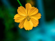 Người nhiệt tình với bạn đến đâu, nếu không cho được 3 điều này thì không đáng để bạn trao gửi chân tình