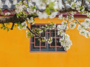 3 nơi phụ nữ khôn ngoan quyết nói “không”, kẻ dại lại thường hay lui tới