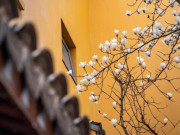 Muốn thay đổi vận mệnh, người khôn ngoan nắm bắt tốt 3 giai đoạn quan trọng này