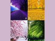 Eva tám - Trắc nghiệm tâm lý: Phong cảnh bạn thích tiết lộ tương lai sau tuổi 50 giàu có hay còn chật vật