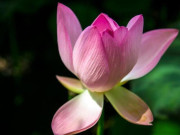 2 kiểu hàng xóm chớ giao du, 3 kiểu họ hàng chớ gần gũi