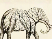 Eva tám - Trắc nghiệm tâm lý: Khi nào bạn sẽ gặp được quý nhân dẫn đường chỉ lối?